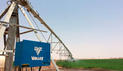 Опыт орошения в условиях пустыни от Al Dahra Holding