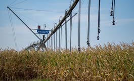Як напоїти всихаючі поля України: досвід дніпропетровської агрофірми «Лан»