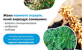 Імпекс Дуо: препарат, що працює за трьох