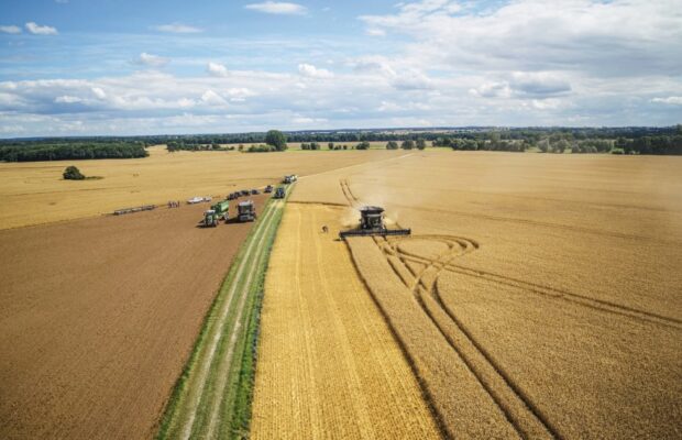 Fendt IDEAL 9T вразив своєю продуктивністю і якістю врожаю