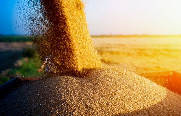 Новий напрям – «Закупівля агропродукції»
