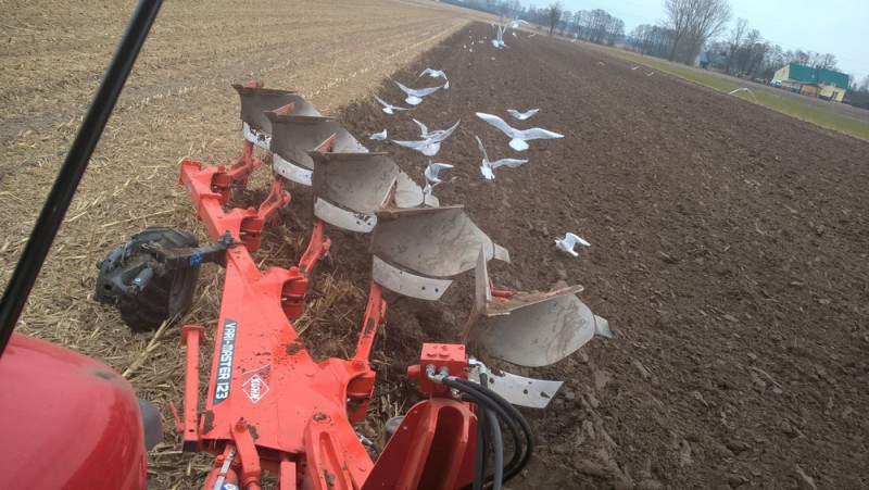 Плуг навісний KUHN MULTI-MASTER 123
